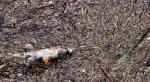 Bottle pollution in mud