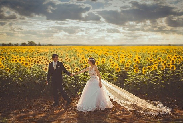 A bride and groom walking in a field of sunflowers