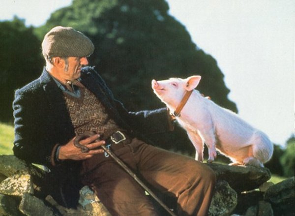 James Cromwell and the pig in Babe