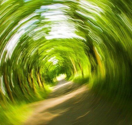 A dizzy spell in the countryside.