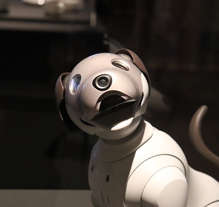 A robotic dog.