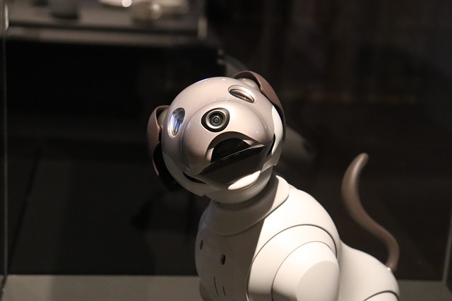 A robotic dog.