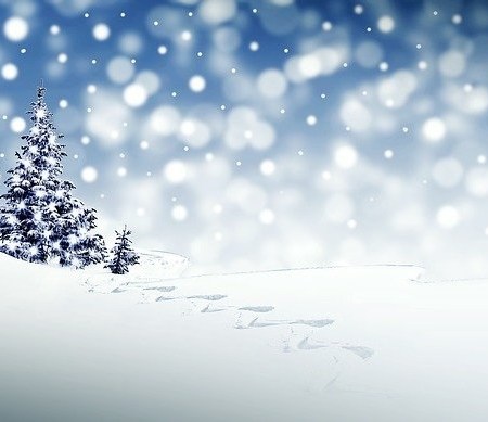 A Christmas snow seen, with trees and frost.