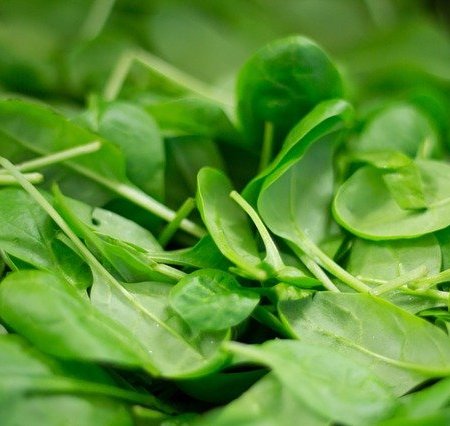 An assortment of spinach