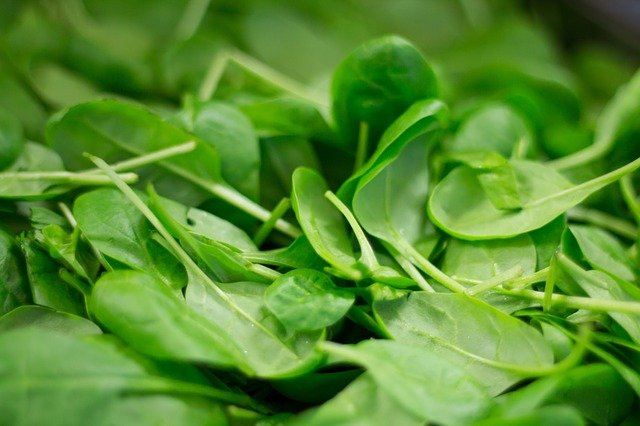 An assortment of spinach