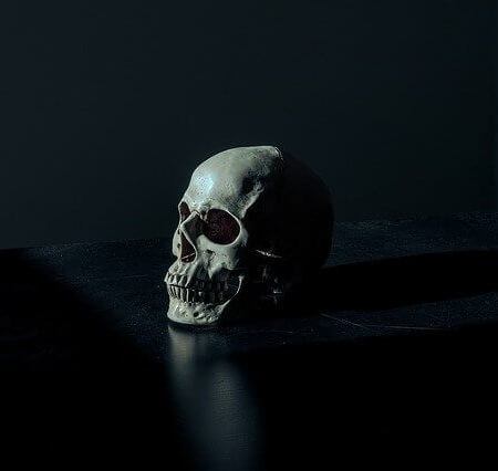 A human skull set against a black backdrop