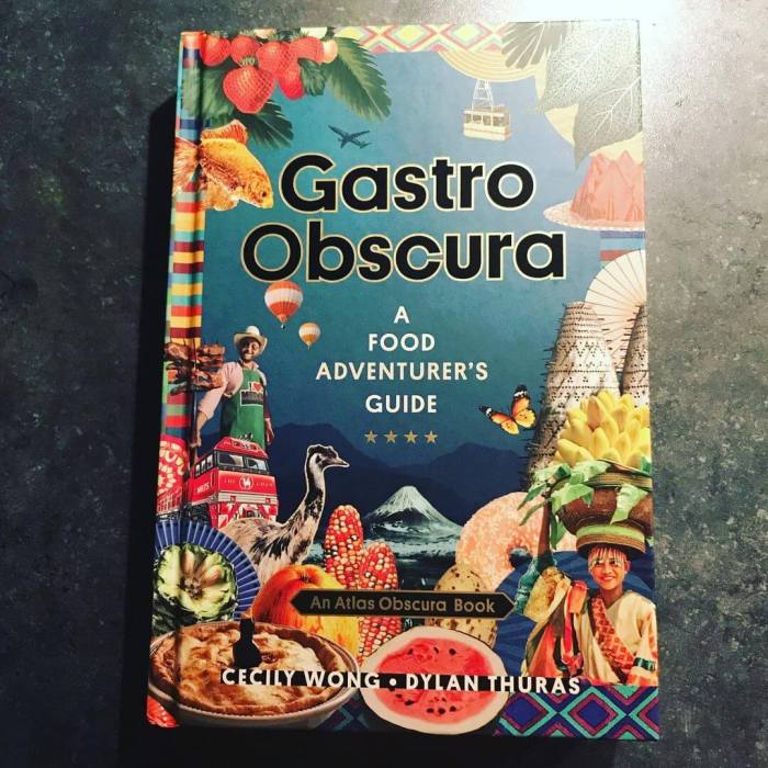 Gastro Obscura book