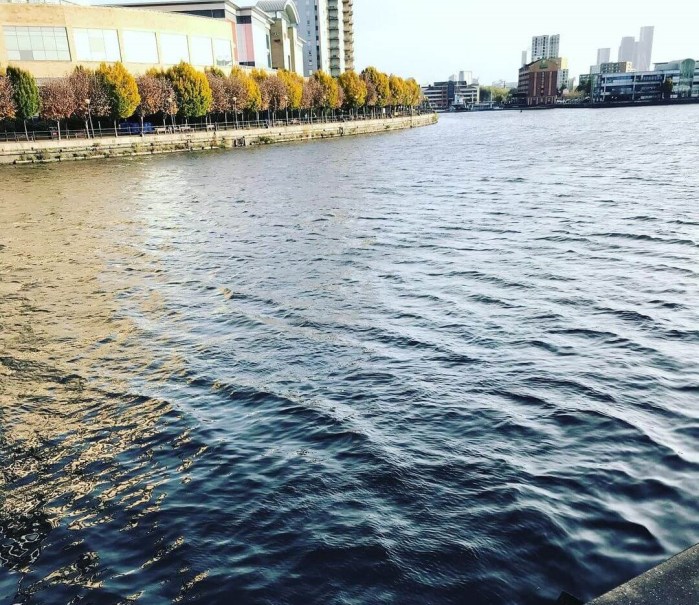 Salford Quays in autumn with the waterfront