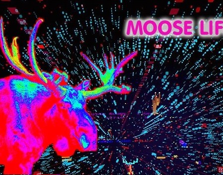 Moose Life by Llamasoft