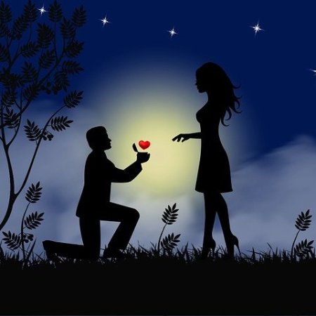 A moonlit silhouette of a couple with the man proposing