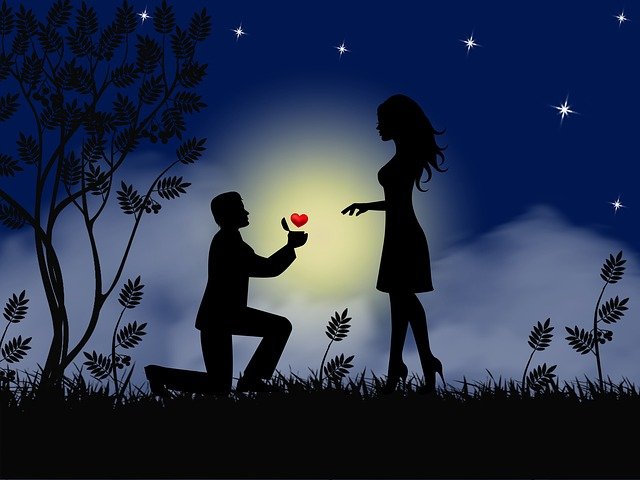 A moonlit silhouette of a couple with the man proposing