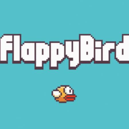 Flappy Bird the indie mobile game