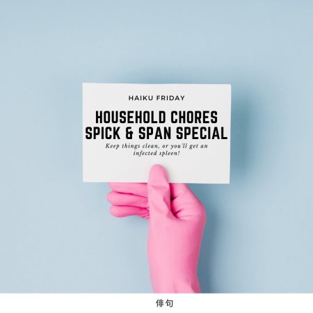 Haiku Friday - Household Chores Spick & Span Special