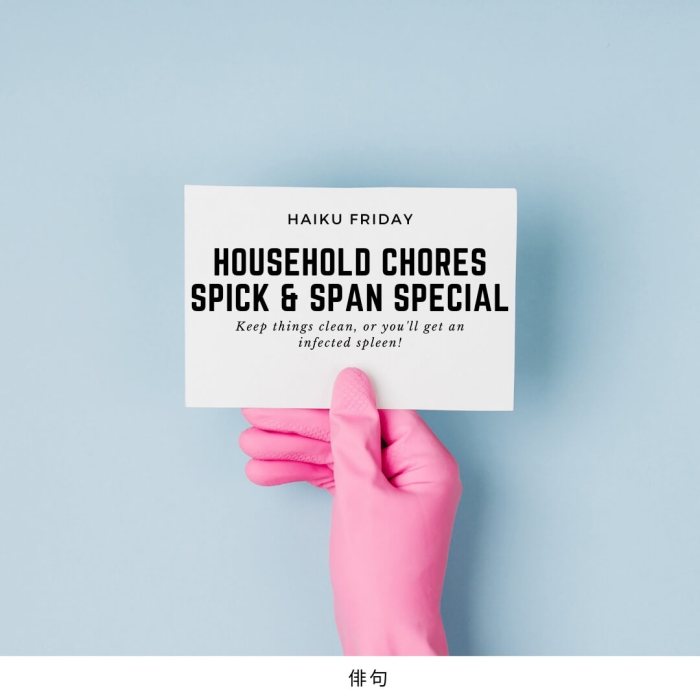 Haiku Friday - Household Chores Spick & Span Special