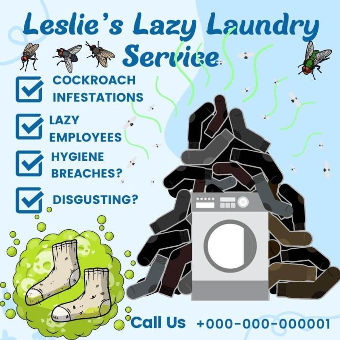 Leslie's Lazy Laundry Service