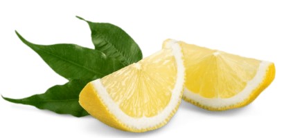 Lemon slices with a green leaf