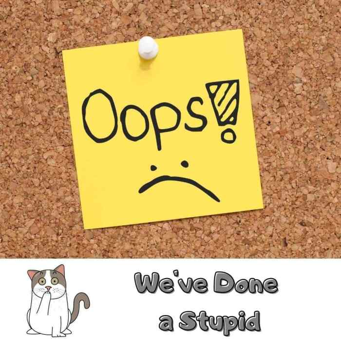 Oops - We've done a stupid