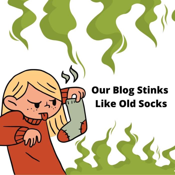 Our blog stinks