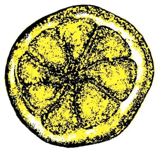The Stone Roses lemon