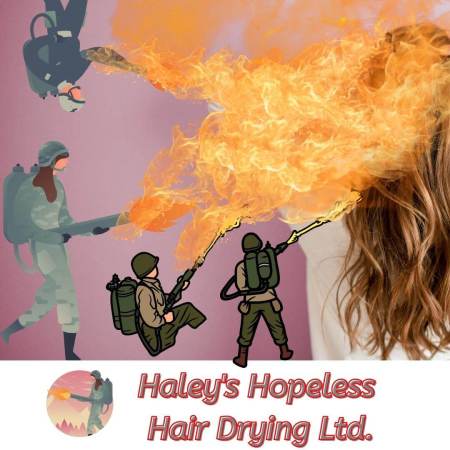 Haley's Hopeless Hair Drying Company Ltd.