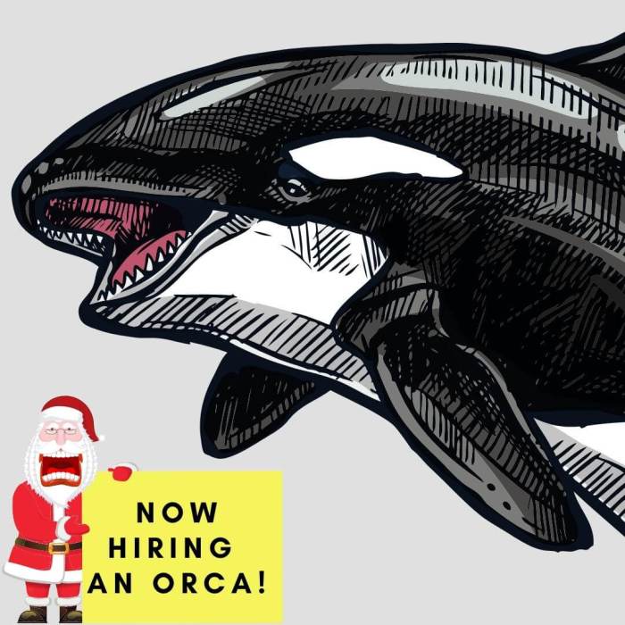 Santa is hiring an orca