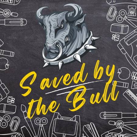 Saved by the Bull television sitcom