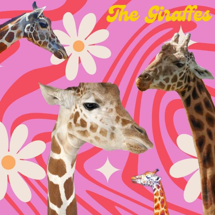 The Giraffes the '60s novelty band