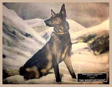 Lobby film card for The Mountain Eagle