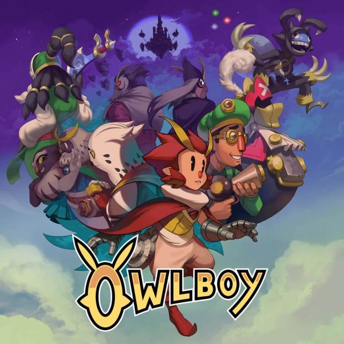 Owlboy the indie game