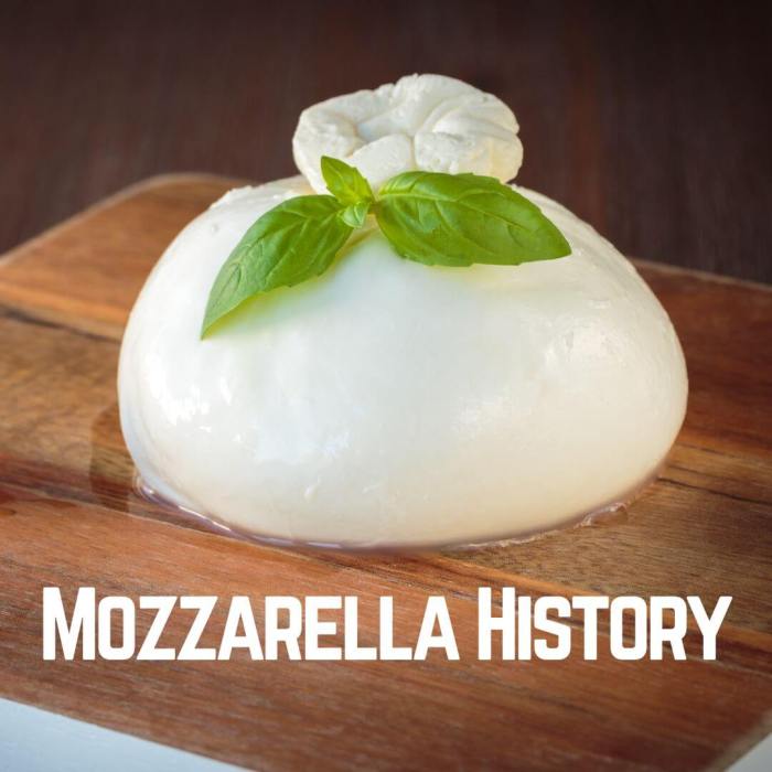 Mozzarella History