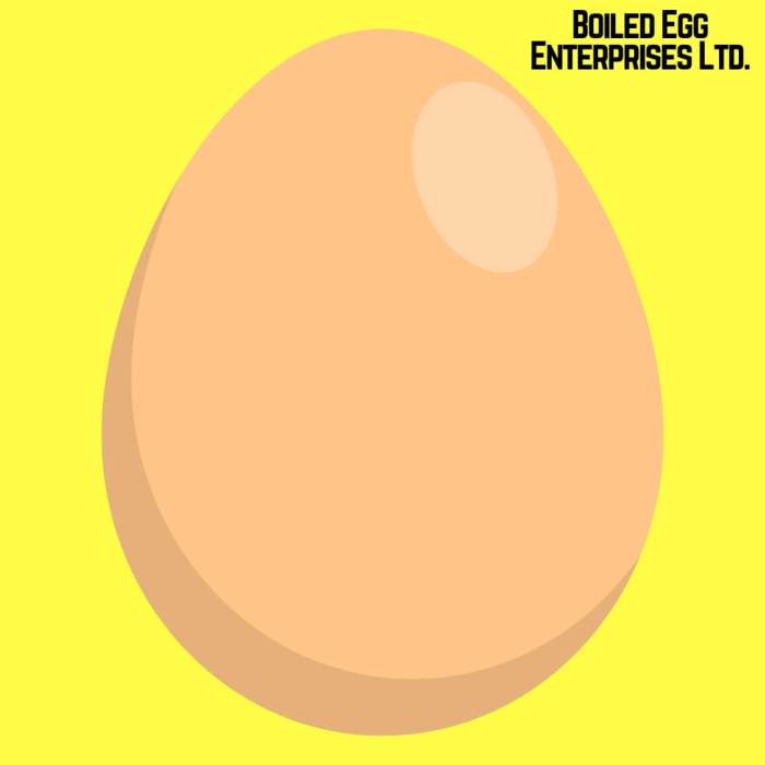Boiled egg enterprises Ltd.