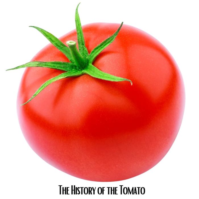 The History of the Tomato
