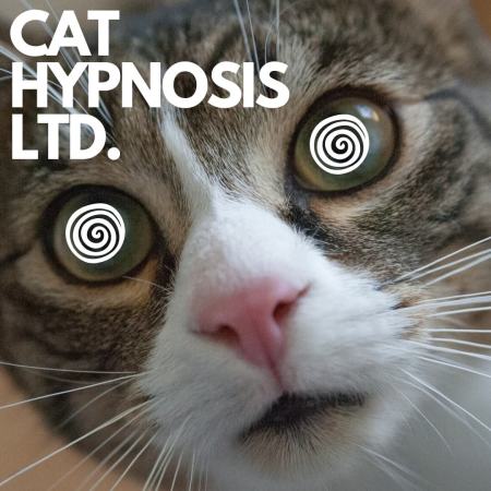 Cat Hypnosis Ltd.