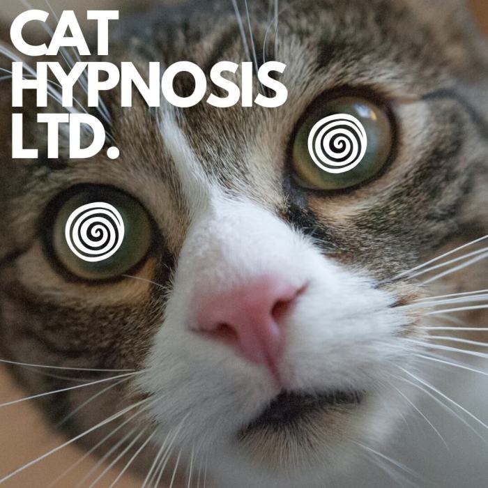 Cat Hypnosis Ltd.