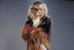 A Wookiee in Star Wars