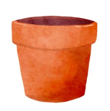An empty plant pot