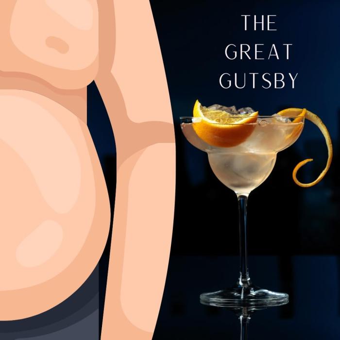 The Great Gutsby the novel