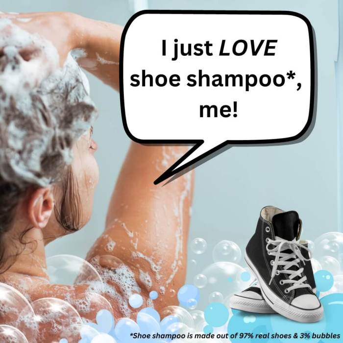 Shoe shampoo