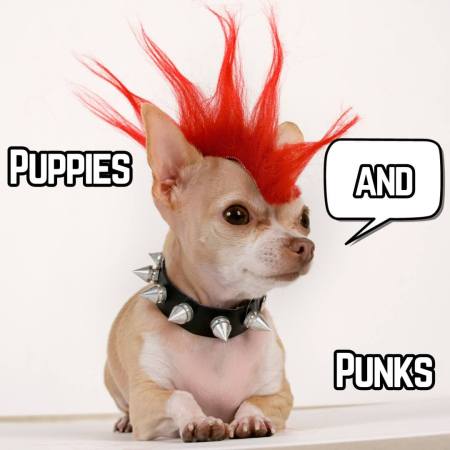 Puppies and Punks the band
