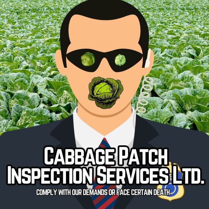 Cabbage Patch Inspection Services Ltd.