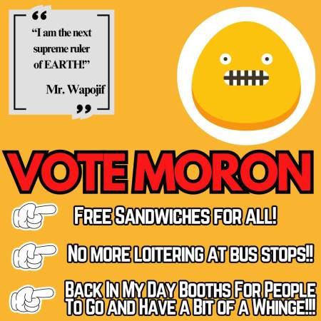 Moronic Political Manifesto for Moronic Politics