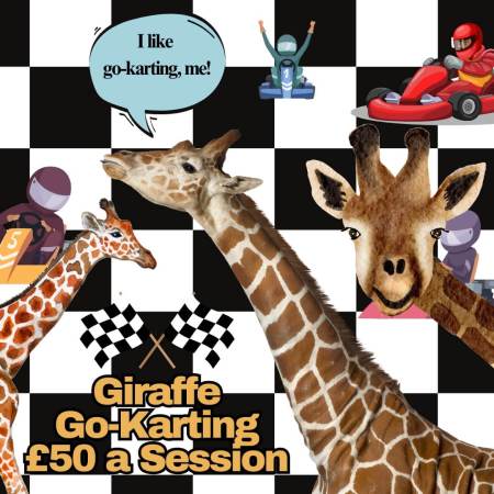 Giraffe go-karting