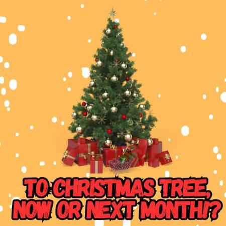 When is the right time to buy a Christmas tree