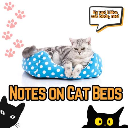 Notes on cat beds