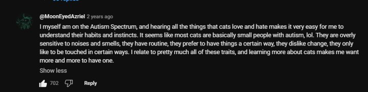 Cats and autism YouTube comment