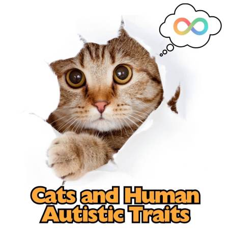 Cats and similarities with autism in humans