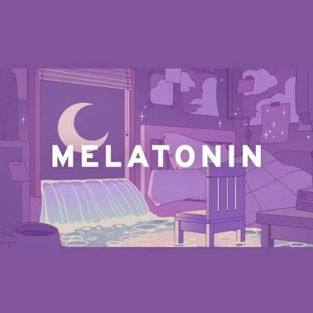 Melatonin the rhythm sleep game
