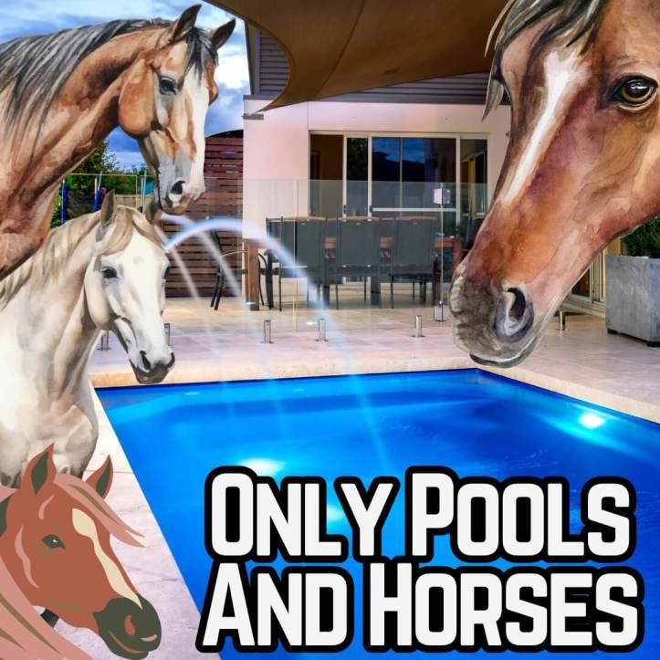 Only Pools and Horses reality TV show
