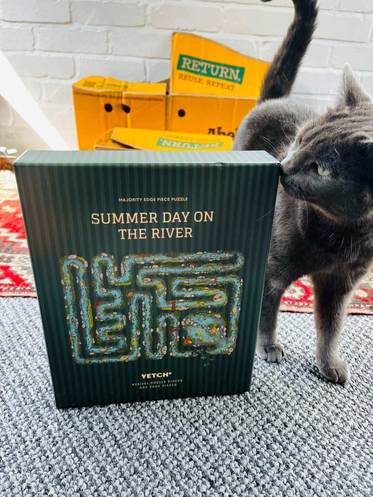 A smoky cat and a jigsaw puzzle box