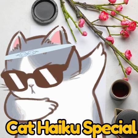 Cats haiku special